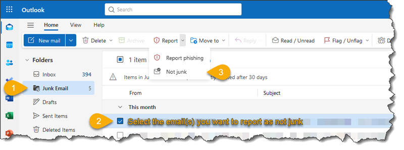 Select It's not junk or Show blocked content and enable links.